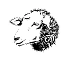 Black-Sheep